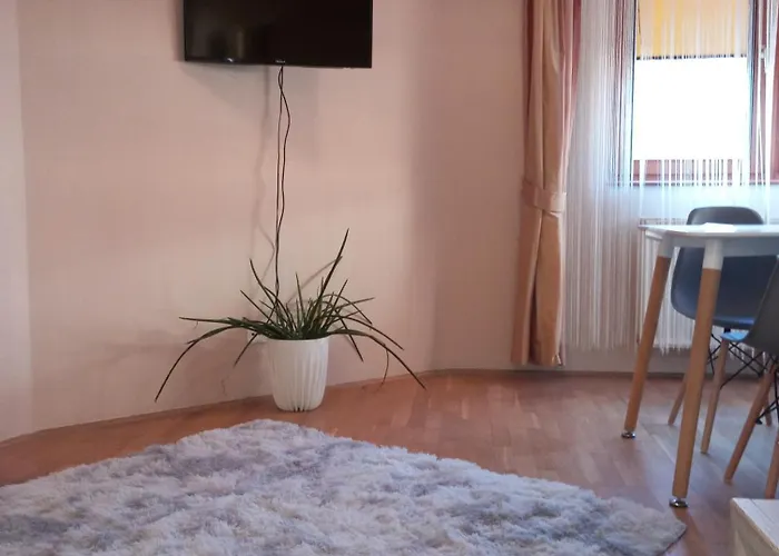 Zen Apartament